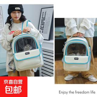 猫包宠物包网纱透气舒适外出大容量宠物背包高颜值宠物手提猫背包 绿色