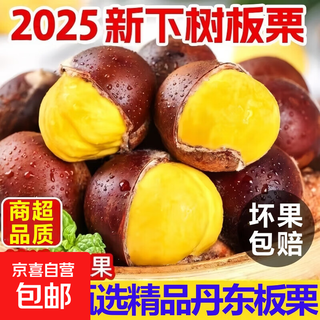 Fresh dandong chestnuts, authentic farmers’ selection of high-quality vegetables, straight from the origin, large fruits, raw, ready-to-eat, can can be stir-fried, wholesale, single fruit 24-28mm, 5jin jin is equal to 0.5kg, net weight