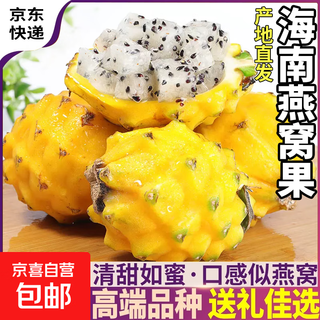 Authentic hainan golden bird's nest fruit, seasonal fresh tropical fruit, unicorn fruit, rare yellow dragon fruit, fresh, sweet and juicy, medium fruit, net weight 2 jin jin equals 0.5 kg, single fruit 100+