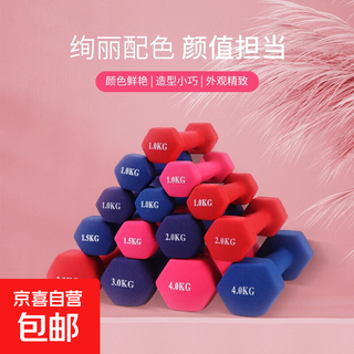 Dumbbells for women's fitness household solid cast iron for male students and children universal home weight loss equipment yoga compact big red 0.5kg two pieces