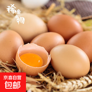 Yuezhe fresh farmhouse free range eggs 50g/each pick-up fresh supermarket breakfast soft-boiled eggs 4 pieces