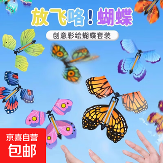 新款儿童户外玩具会飞的蝴蝶喷花礼盒飞去来器亲子互动竹蜻蜓礼物 随机20个