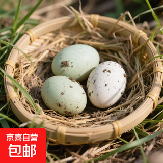 Duck eggs fresh raw duck eggs 50-60g native duck eggs farm-raised free-range white-skinned green-skinned duck eggs whole box wholesale 10 pieces