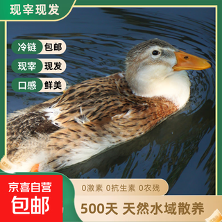 The net weight of jiuhuashan free-range stream duck is 2.1-2.5 jin. jin is equal to 0.5 kg. the old duck shelduck duck meat is delivered directly from the source. the free-range 2-year old duck comes in one package (with selenium-rich mineral spring included).