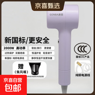 Guangba new national standard plasma hair dryer hair care silent quick-drying anti-static smooth hair dryer hairstylist special barber shop home quick-drying negative ion hair care hair dryer lavender purple new national standard safer 2000w + styling nozzle 1.8m pure copper power cord