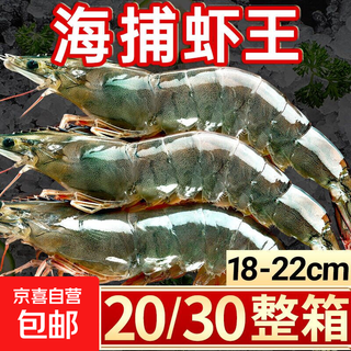 青岛大虾特大号生鲜活速冻海虾青岛大虾海鲜冷冻海捕对虾白虾 18-22cm海捕虾王（整盒3斤）