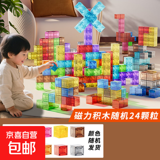 Variety of geometric magnetic building blocks, transparent magnetic blocks, educational development and intellectual building toys for boys and girls, 24-pellet transparent magnetic blocks, random colors
