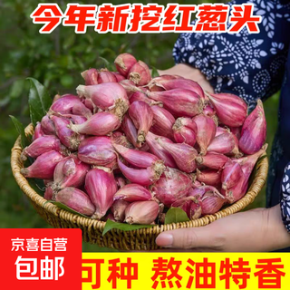 Red onions, four-season chive seeds, fresh onion flowers, potted red onions, four-season chive seeds, onions, selected shallots 1jin jin is equal to 0.5kg, packed with about 75 petals, thickness 1-2 cm