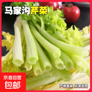 Majiagou celery hollow celery salad supermarket fresh celery crisp and refreshing fruit celery majiagou hollow celery 1 jin jin equals 0.5 kg
