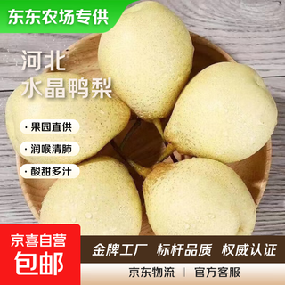 Dongdong farm exclusively supplies zhaozhou crystal yali fresh fruit directly from the origin, new 4, with box 4 jin jin equals 0.5 kg, net weight 3.5 jin jin equals 0.5 kg