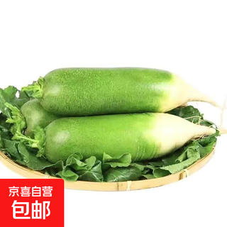 Fresh green radish, net weight 9jin jin is equal to 0.5kg, single fruit starts from 300g