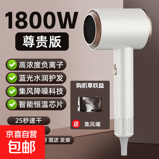 New high-speed silent negative ion hair dryer personal protective appliance strong wind hair dryer for hair salon, hotel and dormitory 311 high-speed motor white 1800w