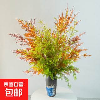 Melaleuca oro. el pequeño bosque de naranjos tiene un largo período de floración. las plantas y flores verdes de interior se pueden cultivar en hidroponía. se pueden convertir en flores secas y son fáciles de cultivar. melaleuca oro 2 sucursales.