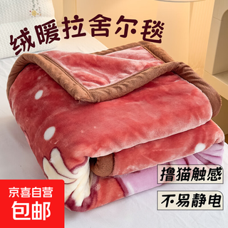 Children's raschel blanket double layer cloud blanket thickened baby nap blanket autumn and winter kindergarten baby cartoon cover blanket raschel children's blanket - little princess brown 100*140cm