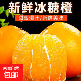 湖南麻阳芷江冰糖橙冰糖柑果园产地直发老人小孩均可食用60-65mm 带箱4斤装60-65mm普箱