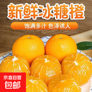 湖南冰糖橙鲜甜爆汁麻阳芷江冰糖柑当季水果直采树上熟 50-60mm 麻阳冰糖橙 带箱5斤装50-60mm