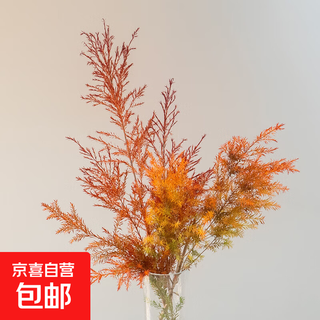 Melaleuca gold. the small orange forest has a long flowering period. indoor green plants and flowers can be grown in hydroponics. they can be made into dried flowers, easy to grow and grow. melaleuca gold 5 branches.