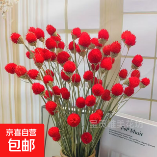 Strawberry fruit qianrihong new style dried bouquet decorative ornaments simulated flowers flowers everlasting flowering period long chinese valentine's day red 20 count