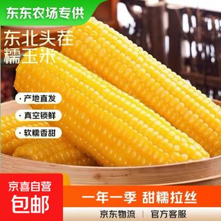 Dongdong farm exclusively supplies authentic first-crop fresh waxy corn from northeast china, soft and waxy brushed vacuum-packed breakfast, 2 sticks of yellow waxy corn*180g+