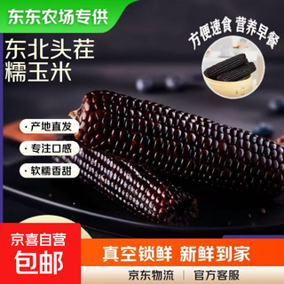 Dongdong farm exclusively supplies authentic first-crop fresh waxy corn from northeast china, soft and waxy brushed vacuum-packed breakfast, 5 pieces of black waxy corn*180g+