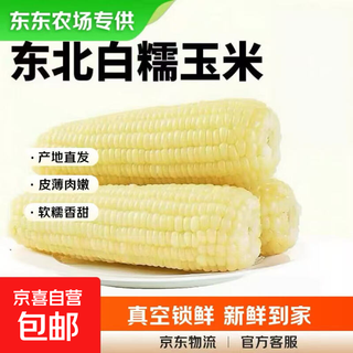 Dongdong farm exclusively supplies authentic first-crop northeast fresh waxy corn, soft and waxy brushed vacuum-packed breakfast, northeast white waxy corn 6 pieces*200g+