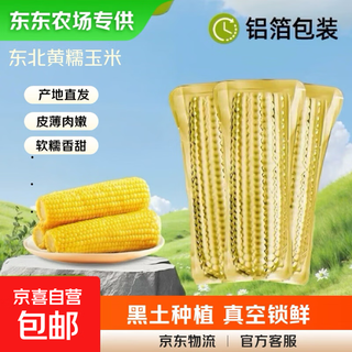 Dongdong farm exclusively supplies authentic first-crop northeastern fresh waxy corn, soft and waxy brushed vacuum-packed breakfast, northeastern yellow waxy corn 10 pieces*packed in aluminum foil 220g