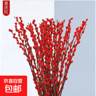 Silver willow real flowers and fresh branches indoor red festive new year's eve flowers new year's dried flowers plants potted living room ornaments decoration chinese red silver willow 60cm high 20 branches 2 small lanterns