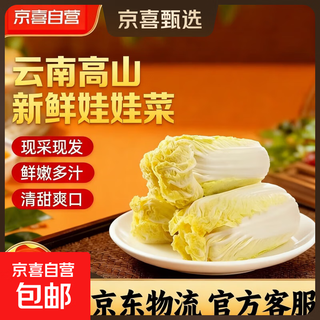 Yunnan high mountain fresh baby cabbage salad vegetables breakfast vegetables and fruits freshly harvested fresh baby cabbage (3 plants)*1 pack