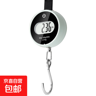 Portable portable scale household electronic scale high-precision mini pocket scale accurate express parcel scale fishing mail order white 30kg/10g