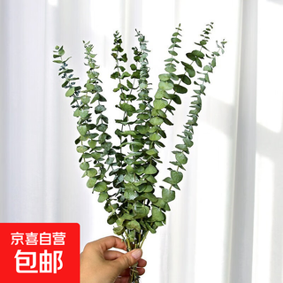 Eucalyptus leaf dried flower bouquet, natural air-dried branches, light luxury creative diy decorative material ornaments, original color eucalyptus