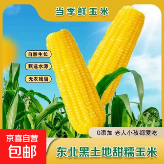2025 northeast yellow sweet glutinous corn on the cob vacuum packaged low-fat yellow waxy big stick sweet northeast breakfast sticky corn 6 pieces of yellow waxy corn 150-200g