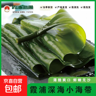 Fujian xiapu deep sea kelp fresh extra thick kelp sand-free high foaming hot pot cooking commercial wholesale deep sea kelp 1 pack 500g