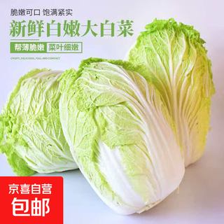 Winter vegetables, fresh yellow-heart chinese cabbage, frost-beaten chinese cabbage, freshly chopped, freshly chopped, hot pot, breakfast stir-fry, 9-10jin jin is equal to 0.5kg