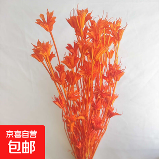 Immortal octagonal dried flower color series flower arrangement handmade diy octagonal flower orange