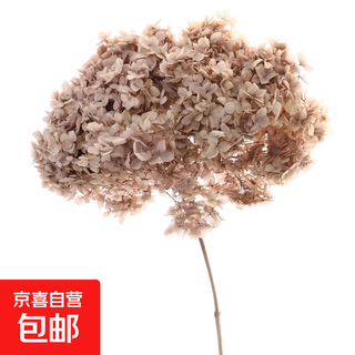 Hydrangea dried flower bouquet decorative flower material light brown
