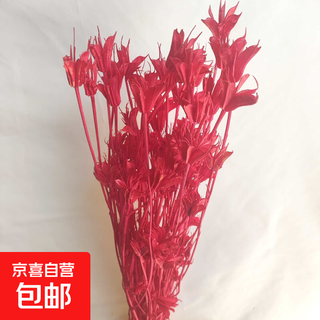 Immortal octagonal dried flower color series flower arrangement handmade diy octagonal flower red