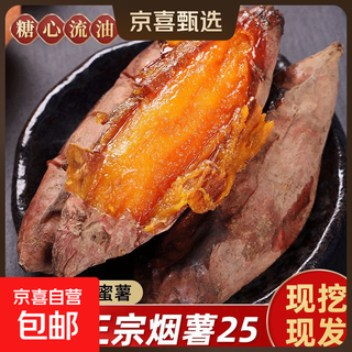 Authentic high-quality sandy tobacco potato no. 25 air fryer roasted sweet potato, oily sweet potato, autumn and winter roasted potato, essential for cooking porridge, high-quality fruit (3 taels - 8 taels) with box 2jin jin is equal to 0.5 kg