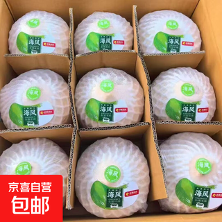 Fruit pier thailand imported perfume milk coconut natural coconut green coconut single fruit 900g fruit pier imported perfume coconut 1 piece with straw