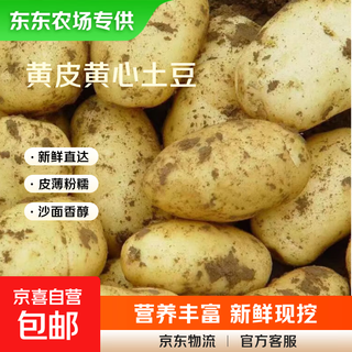 Dongdong farm exclusively supplies shandong yellow-heart large potatoes, glutinous, freshly dug potatoes, taro and taro in season. yellow-heart potatoes 5jin jin is equal to 0.5kg. net weight: medium to large fruit starting from 3 taels.