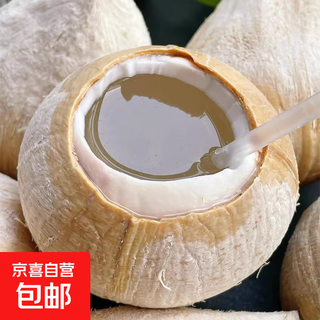 Imported from thailand, milk coconut king seasonal dannen saduo coconut fresh fruit old coconut chicken soup for pregnant women - jiayao early adopter 1 pack extra large fruit single fruit 501g-600g (black coconut shell of old tree is normal)