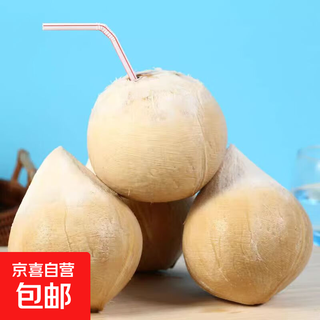 Imported milk coconut king thai fresh coconut green coconut white pregnant women fruit old coconut full box rich coconut fragrance - jiayao value pack 9 large fruit single fruit 401g-500g (black coconut shell from old trees is normal)