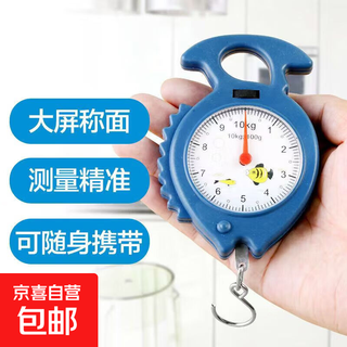 手提秤钓鱼秤行李秤便携式家用手提秤旅游弹簧秤教学生秤购物小秤快递秤手提秤仪表仪器 小鱼款-颜色随机-1个 高精度10kg