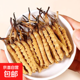 冬虫夏草新干虫草头期冬虫草 营养品礼盒装送父母送礼礼品 3条/克2克6根装