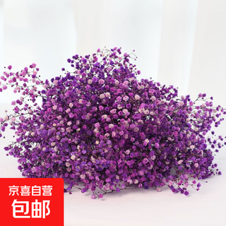 Gypsophila dried flower bouquet preserved flower material purple