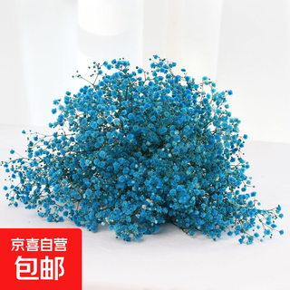 Gypsophila dried flower bouquet preserved flower material blue