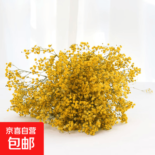Gypsophila dried flower bouquet preserved flower material yellow