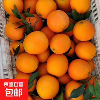 Fresh specialty product category newhall navel orange hand peeled orange fruit in box 9jin jin equals 0.5kg large fruit
