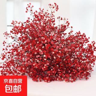 Gypsophila dried flower bouquet preserved flower material red