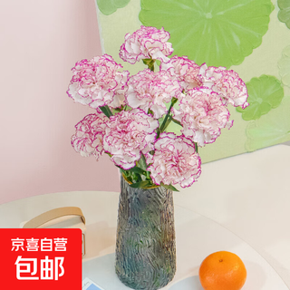 Carnation flowers holiday gift water-grown flowers for mom yunnan flower base straight hair 10 random color carnations