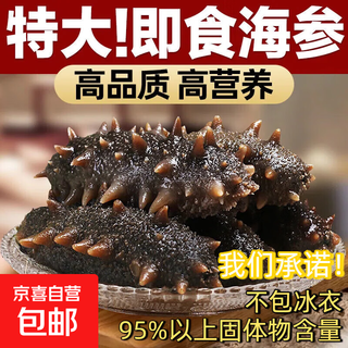 Factory direct sales of authentic wild sea cucumbers and sea cucumbers without ice, fresh deep sea sea cucumbers, high quality sea cucumbers wholesale, 15 fresh sea cucumbers, net weight 250g, no ice coating to gain weight